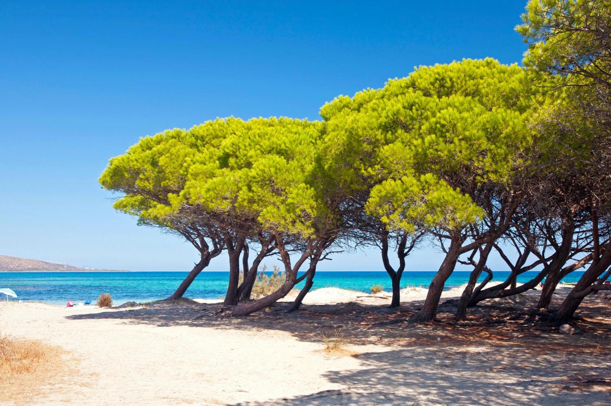 Futura Club Cala Fiorita Hotel Agrustos ภายนอก รูปภาพ